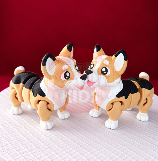 Welsh Corgi