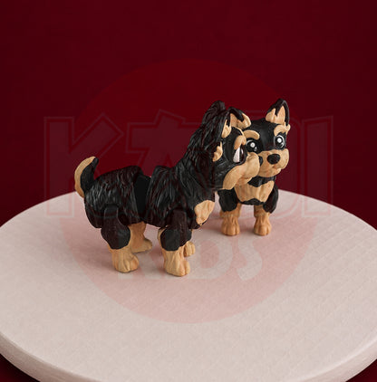Yorkshire Terrier