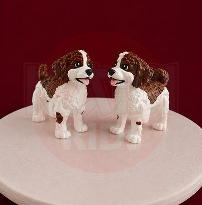 Australijski Labradoodle
