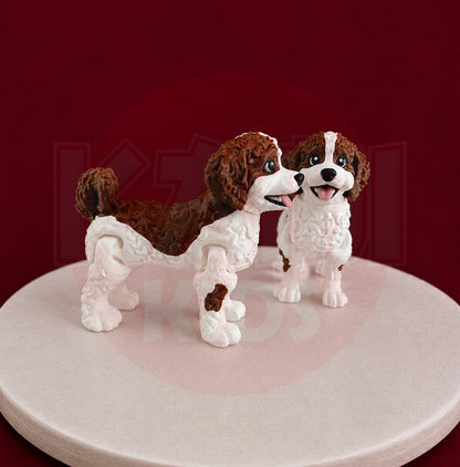 Australijski Labradoodle