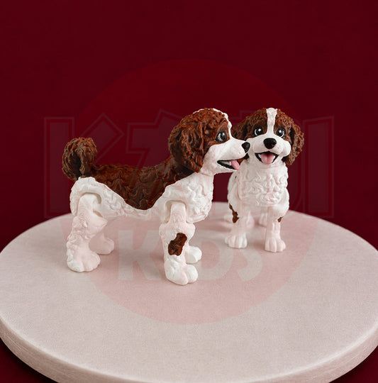 Australijski Labradoodle