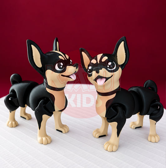 Chihuahua